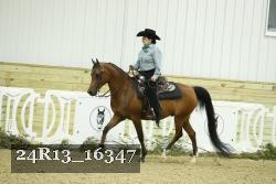 24R13_16347 thumbnail