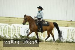 24R13_16348 thumbnail