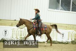 24R13_16351 thumbnail