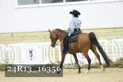 24R13_16356 thumbnail