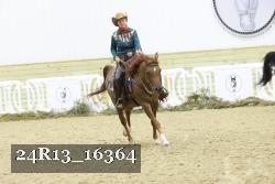 24R13_16364 thumbnail