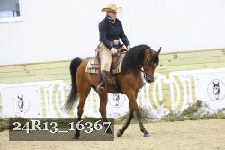 24R13_16367 thumbnail