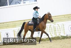 24R13_16370 thumbnail