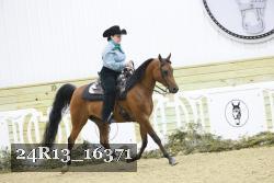 24R13_16371 thumbnail