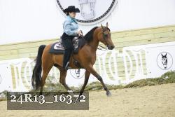 24R13_16372 thumbnail