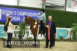 24R13_16386 thumbnail