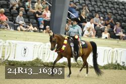 24R13_16395 thumbnail