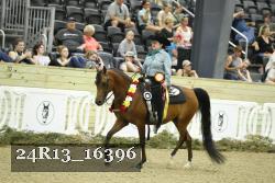 24R13_16396 thumbnail
