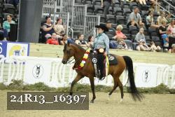 24R13_16397 thumbnail