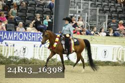 24R13_16398 thumbnail