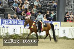 24R13_16399 thumbnail