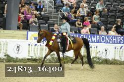 24R13_16400 thumbnail