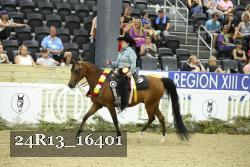 24R13_16401 thumbnail