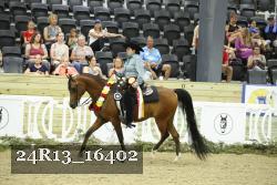 24R13_16402 thumbnail