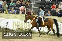 24R13_16403 thumbnail