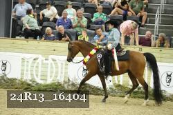 24R13_16404 thumbnail