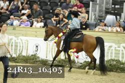24R13_16405 thumbnail