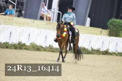 24R13_16414 thumbnail