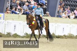 24R13_16415 thumbnail