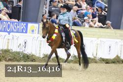 24R13_16416 thumbnail