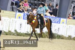 24R13_16417 thumbnail