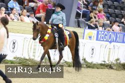 24R13_16418 thumbnail