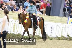 24R13_16419 thumbnail