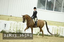 24R13_16582 thumbnail