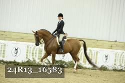 24R13_16583 thumbnail