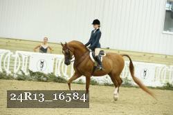 24R13_16584 thumbnail