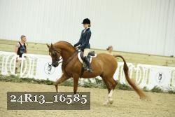 24R13_16585 thumbnail