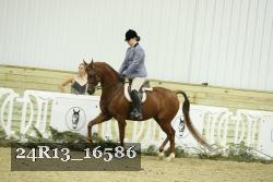 24R13_16586 thumbnail
