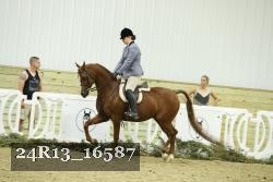 24R13_16587 thumbnail