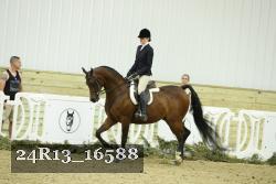 24R13_16588 thumbnail