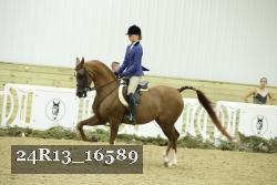 24R13_16589 thumbnail