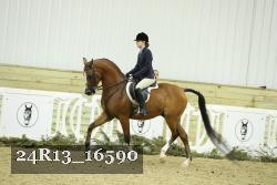 24R13_16590 thumbnail