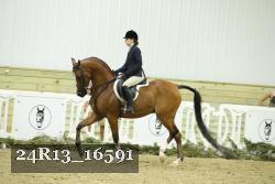 24R13_16591 thumbnail