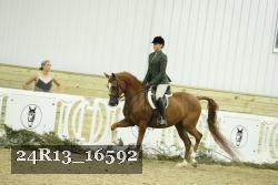 24R13_16592 thumbnail
