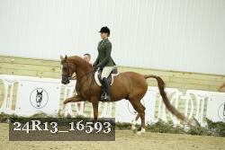 24R13_16593 thumbnail