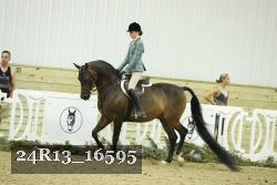 24R13_16595 thumbnail