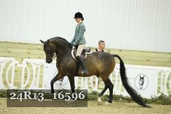 24R13_16596 thumbnail