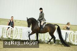24R13_16597 thumbnail