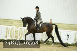 24R13_16598 thumbnail