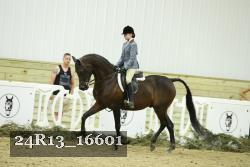 24R13_16601 thumbnail