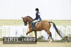 24R13_16602 thumbnail