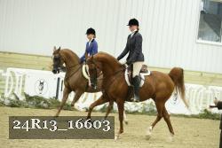 24R13_16603 thumbnail