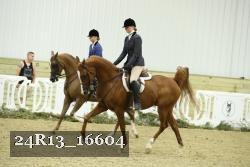 24R13_16604 thumbnail