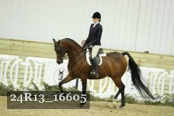24R13_16605 thumbnail