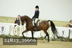 24R13_16606 thumbnail