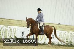 24R13_16607 thumbnail